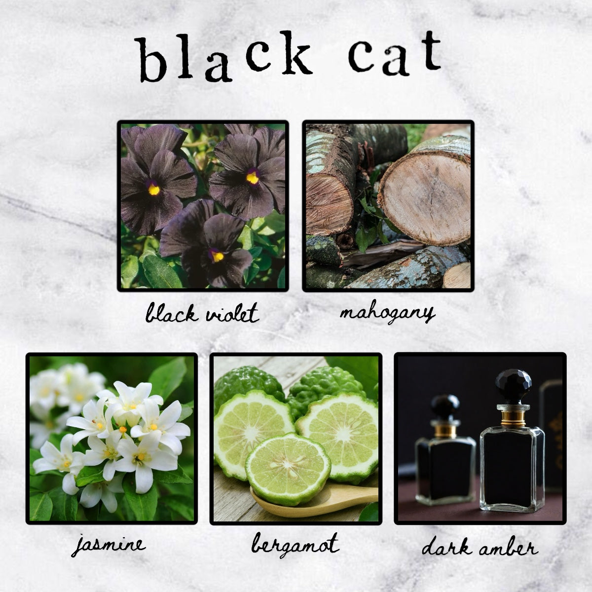 Black Cat